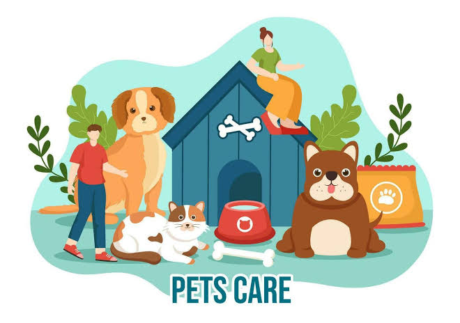 🐾 Pet Care
