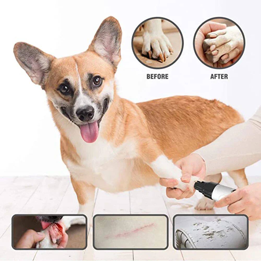 🐾 Electric Pet Nail Grinder for Cats & Dogs